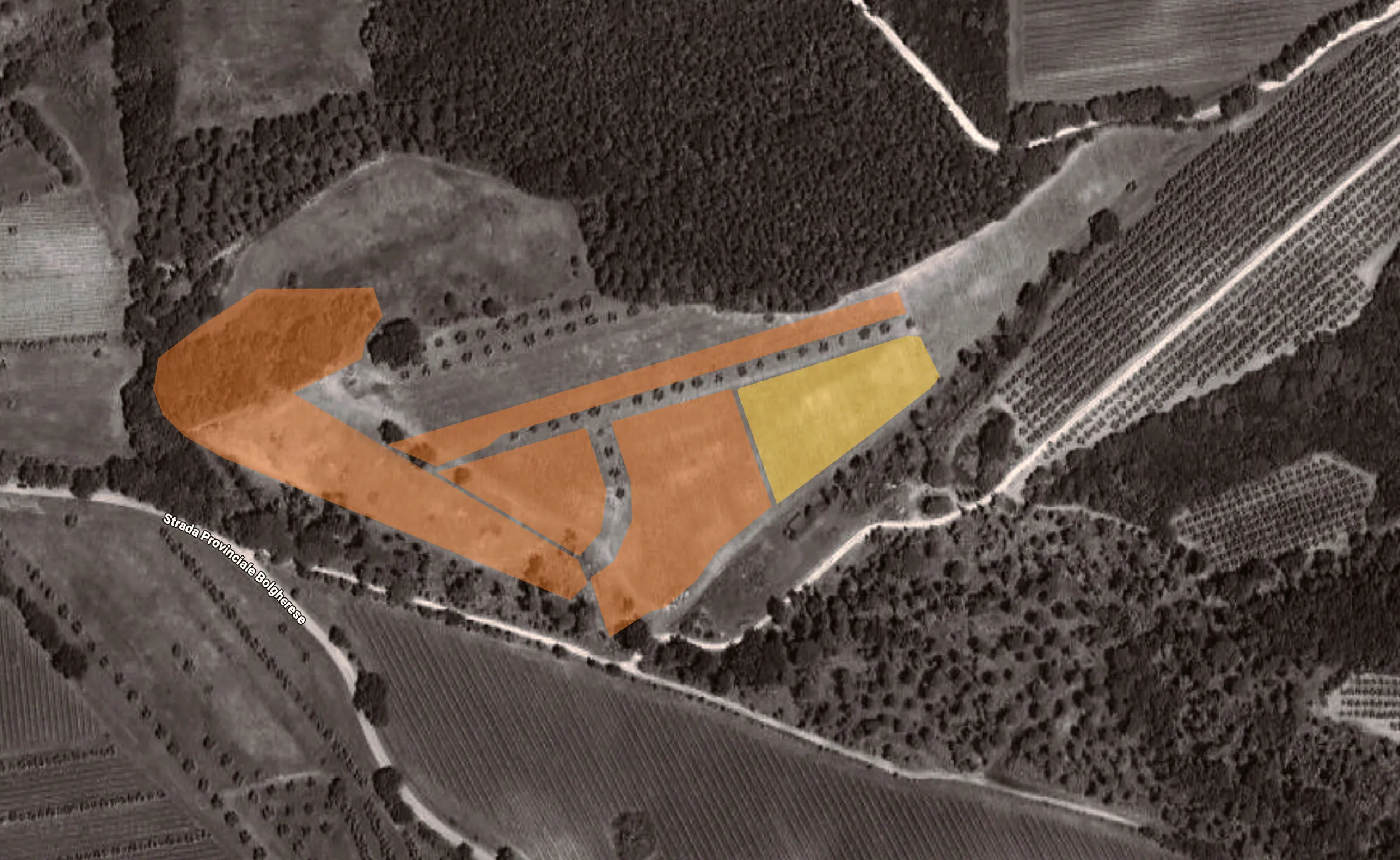 Tenuta del Nicchio Vigneti Bibbona