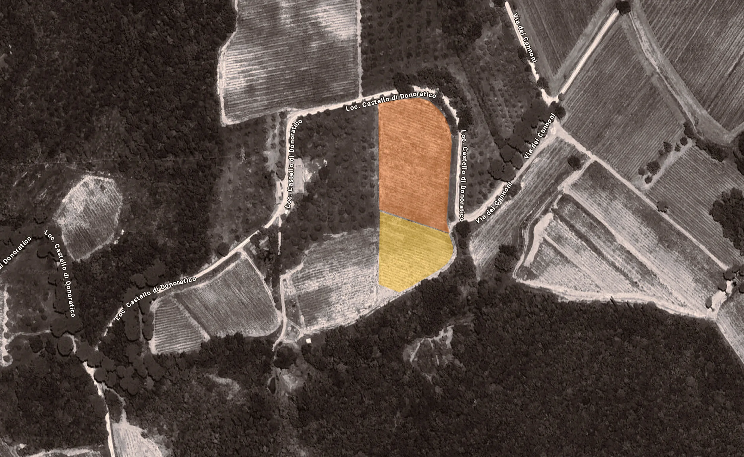 Tenuta del Nicchio Vigneti Bolgheri